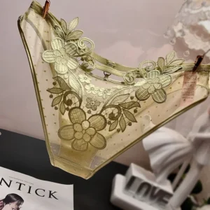 European American Three-dimensional Flower Embroidery Panties Comfortable Lace Underwear Women Transparent Hollow Ladies Briefs 1