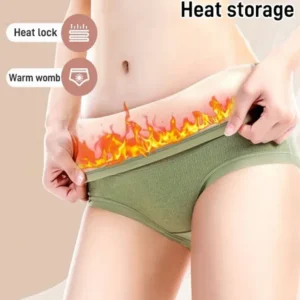 Women's Briefs Warm fall and winter de velvet Comfortable triangle pants high waist double layer tummy warming belly panties 1