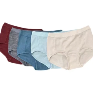 100% Merino Wool Briefs Women Underwear 170g Lightweight Quick Drying Breathable Sports Hiking Yoga Woman Daily Briefs Bikini 1