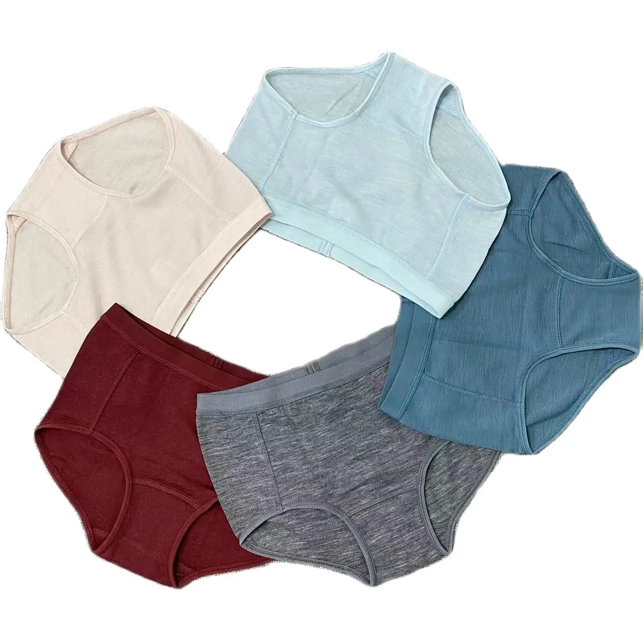 100% Merino Wool Briefs Women Underwear 170g Lightweight Quick Drying Breathable Sports Hiking Yoga Woman Daily Briefs Bikini 2